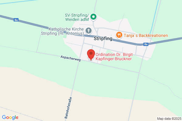 Josef Kapfinger