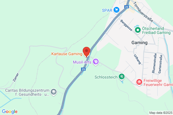 HOTEL KARTAUSE GAMING