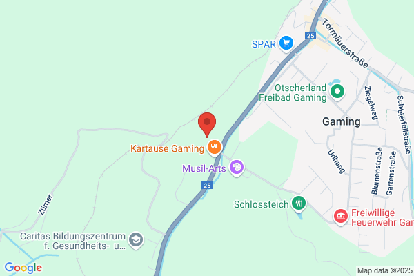 Verein zur Erhaltung der Kartause Gaming