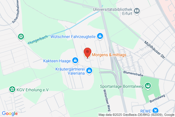 Morgens und Schäffels Diner