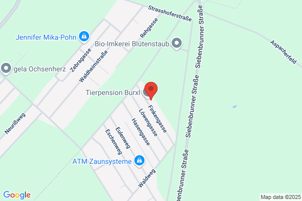 Ballettschule Gaenserndorf