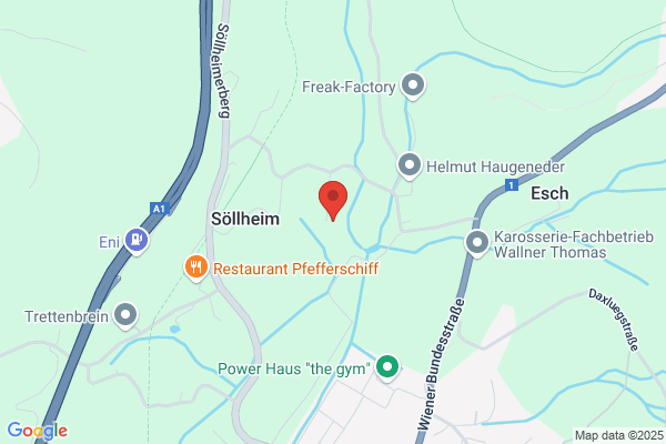 Axel Mitterhauser