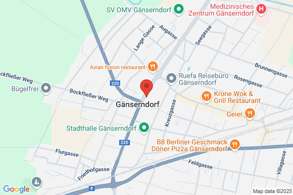 Mag. Edinger Wirtschaftsprüfungs- und Steuerberatungsgesellschaft m.b.H.