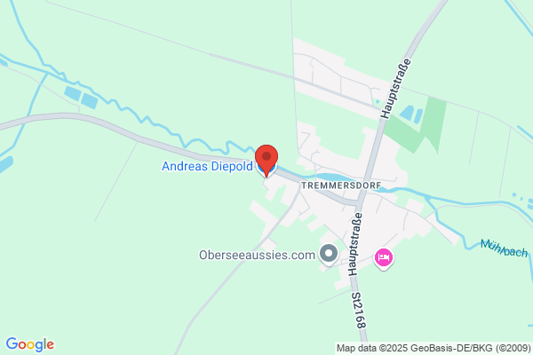 Auto Diepold GesmbH