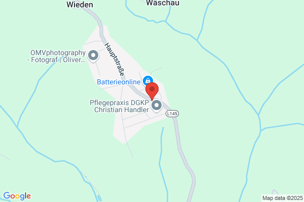 Pfneisl Franz Dipl-TA Dr