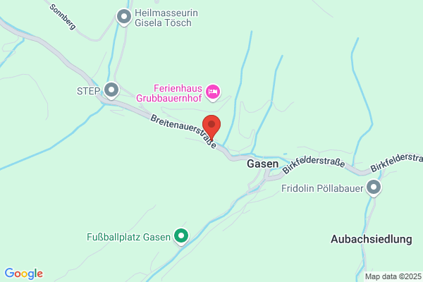 Wintersportverein Gasen Wilhelm Klamminger