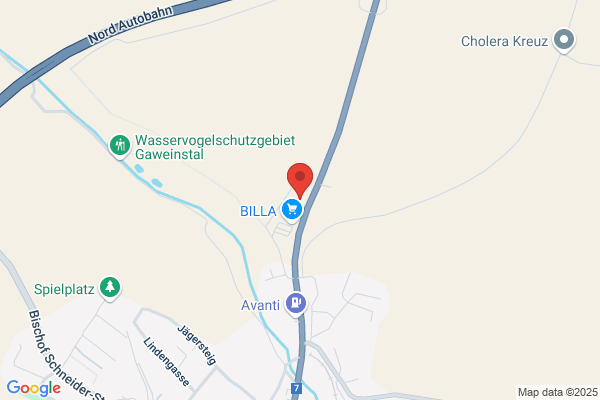 Ing. Siegfried Manschein Gesellschaft m.b.H.