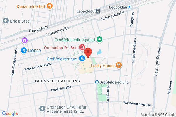 Mayer Georg