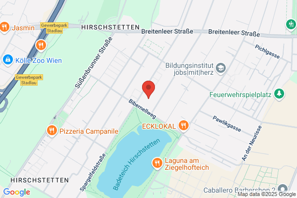 Ch. Figuli IT-Services GmbH