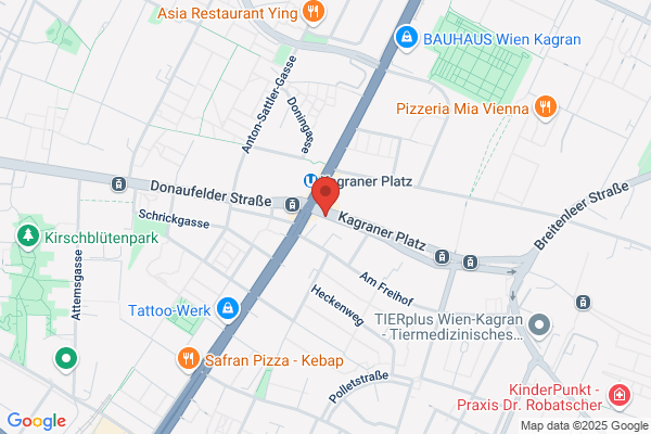 Otto Knorre