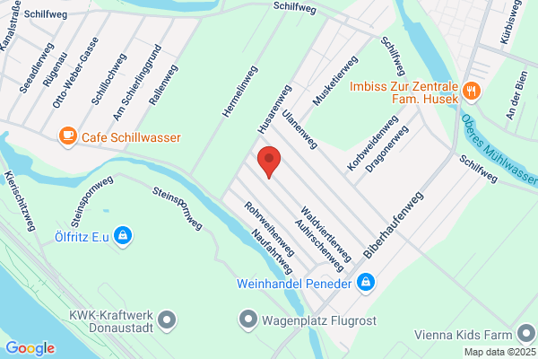 Neubauer Georgine Dipl-TA