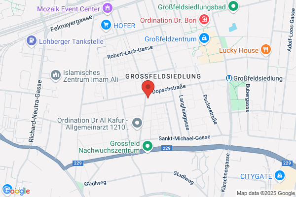 Agnes Apotheke Mag pharm Erwin Haidmayer