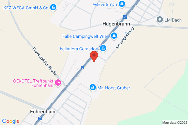 Restaurant Haas