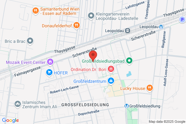 Erster Leopoldauer Eisschuetzen Verein