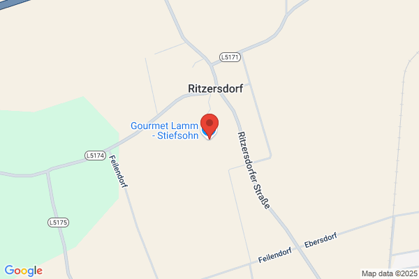 Stiefsohn Franz
