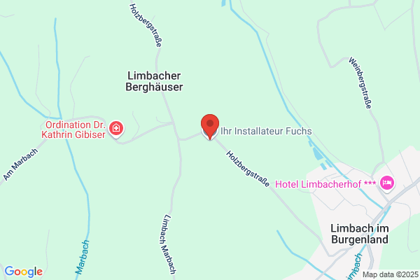 Hanspeter Fuchs