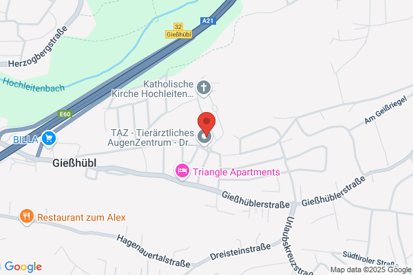 Apotheke Giesshuebl