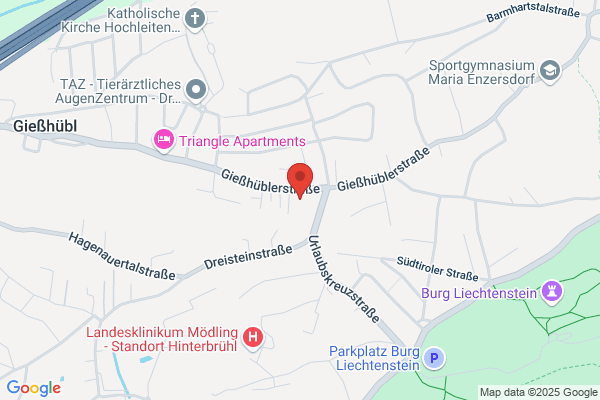 Lebinger Bau Ges.mbH