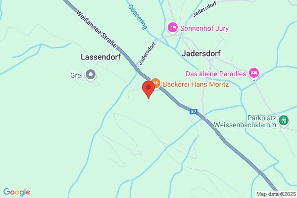Guenther Jedinger