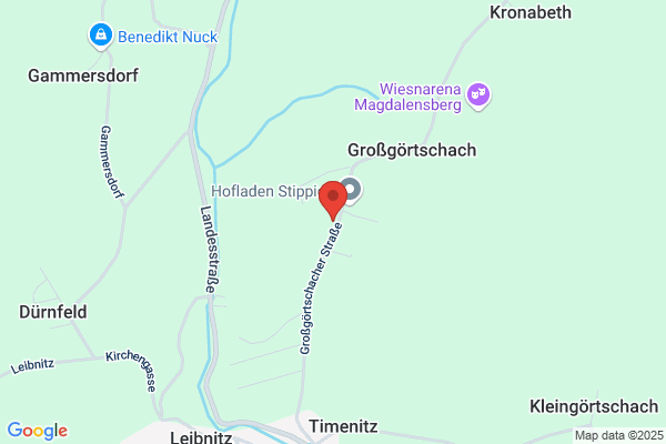 Dipl. Ing. Kopschar Gabriel KEG