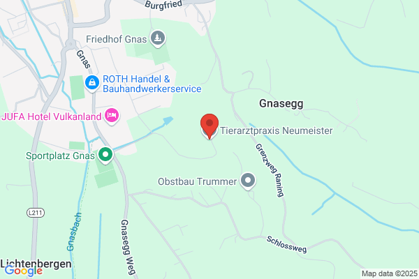 Neumeister Manfred Dipl-TA