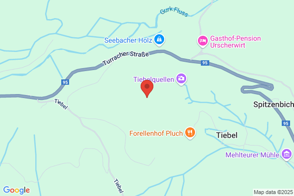 Pfandl Werner - Elektro Service