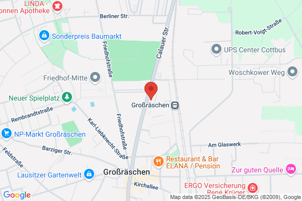ABF-Waldpflegeprojekt