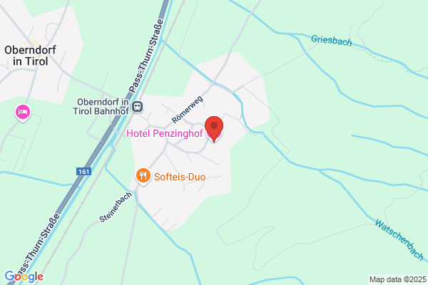 Hotel Penzinghof