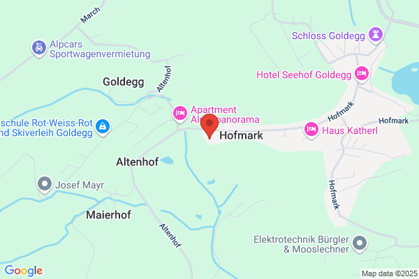 Billardverein Goldegg