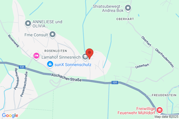 Holzinger Alfred Mag - selbstaendiger Buchhalter