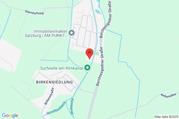 Pacher-Theinburg Anton Dipl- TA Dr