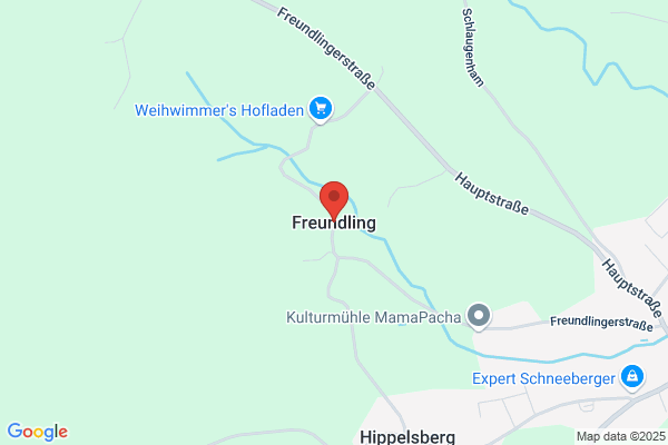 Elisabeth Freundlinger