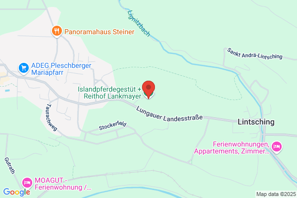 URG Lungauer Islandpferde LIV