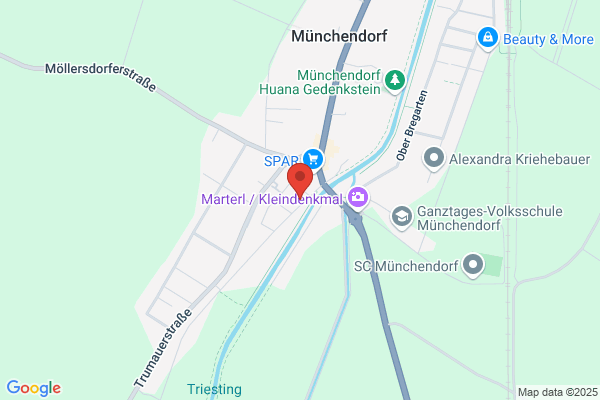MUNIN Hard- u Software EntwicklungsgesmbH