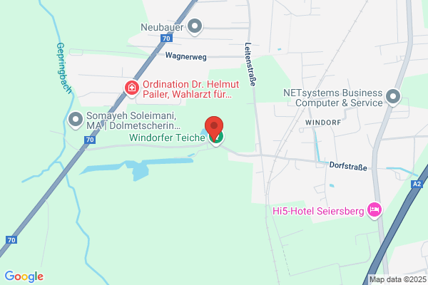 Eisschuetzenverein Olympic Gsell