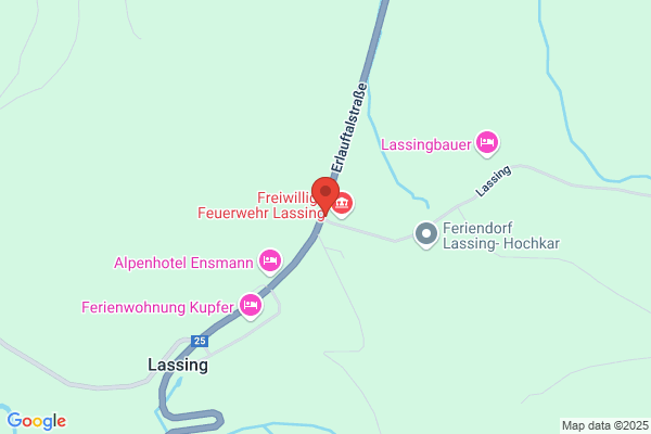 Freiwillige Feuerwehr