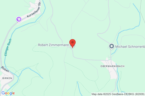 Robert Zimmermann