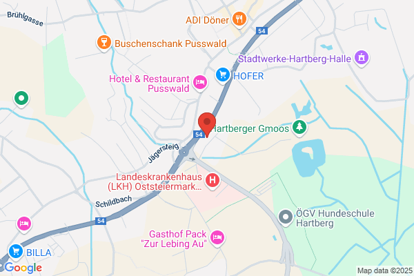 Wüstenrot Filiale mit Zulassungsservice Hartberg