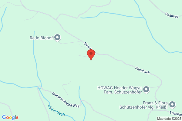 Pichler Ges.mbH
