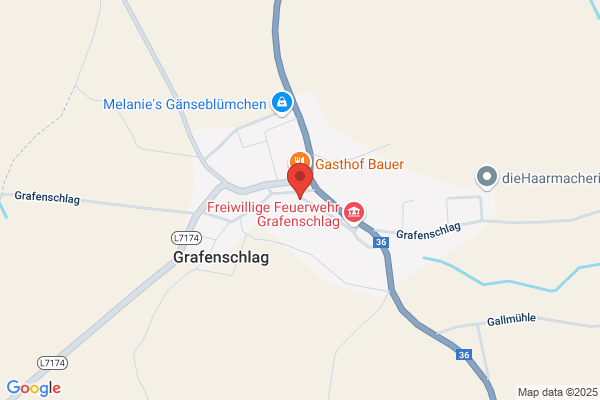 Dirmueller und Co OEG
