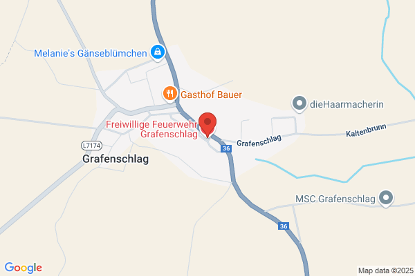 Freiwillige Feuerwehr