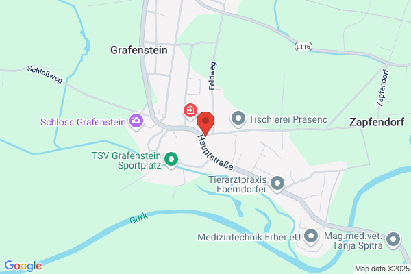 Freiwillige Feuerwehr
