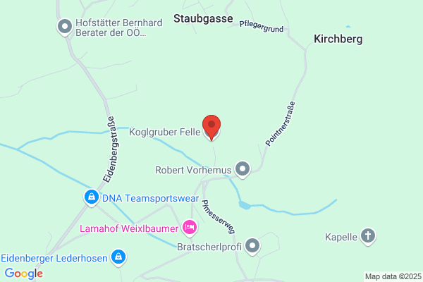 Ferdinand Koglgruber