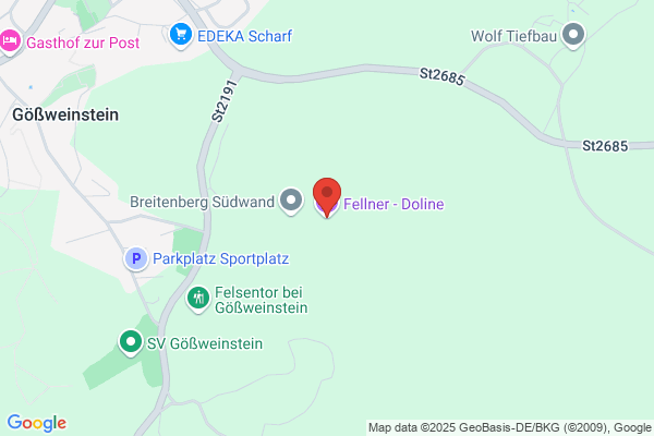 Fellner-Hoelzl