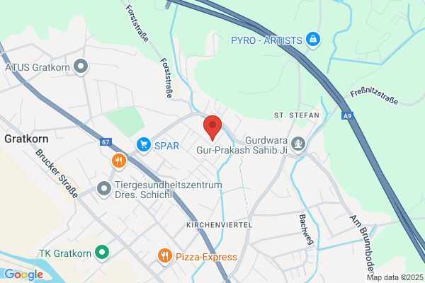 Faschingsgilde Gratkorn