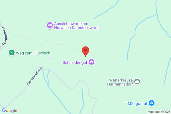 Hammer Werner