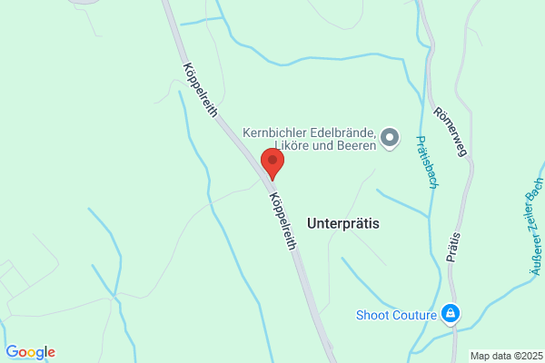 Johann Buchegger