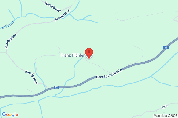 Franz Pichler