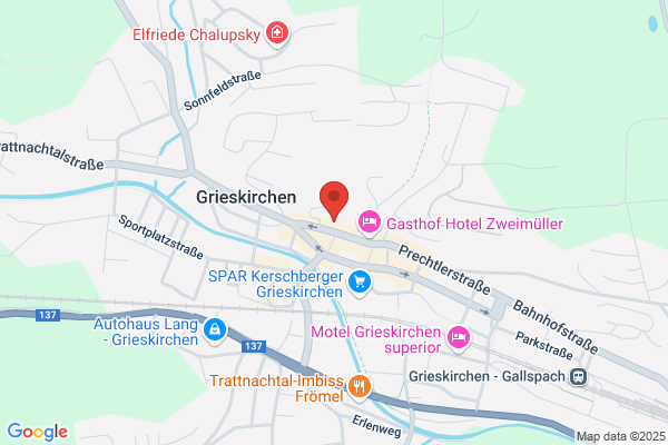 Burgholzer GmbH