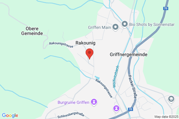 Rabitsch Elfriede